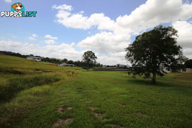 Lot 201 Snowgum Avenue PIE CREEK QLD 4570