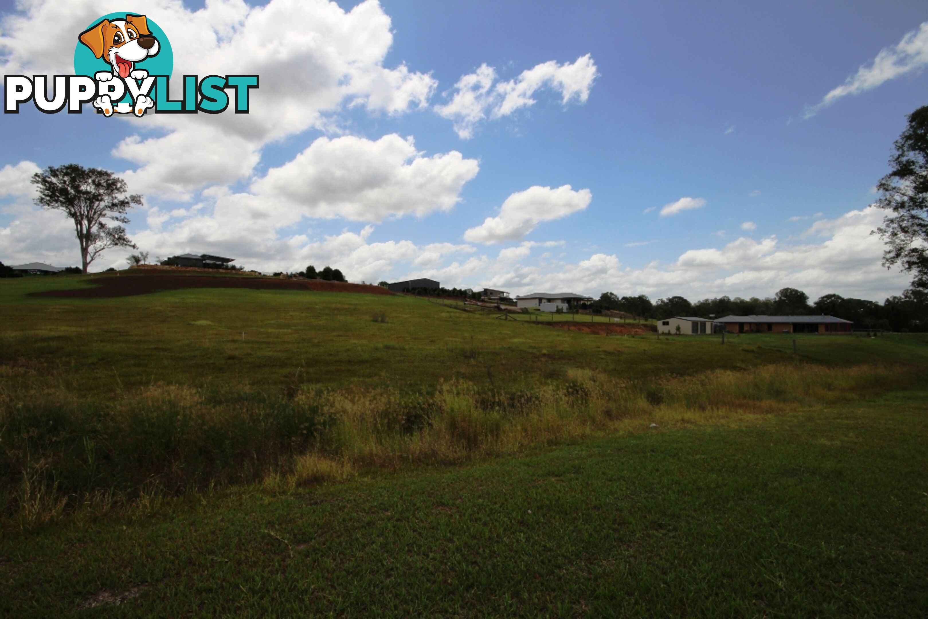 Lot 201 Snowgum Avenue PIE CREEK QLD 4570