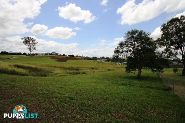 Lot 201 Snowgum Avenue PIE CREEK QLD 4570