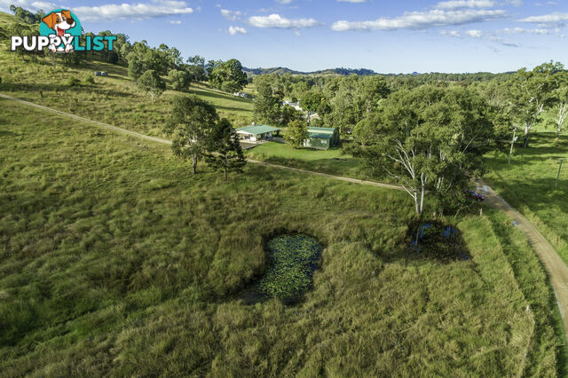 674 Kandanga Creek Rd KANDANGA CREEK QLD 4570