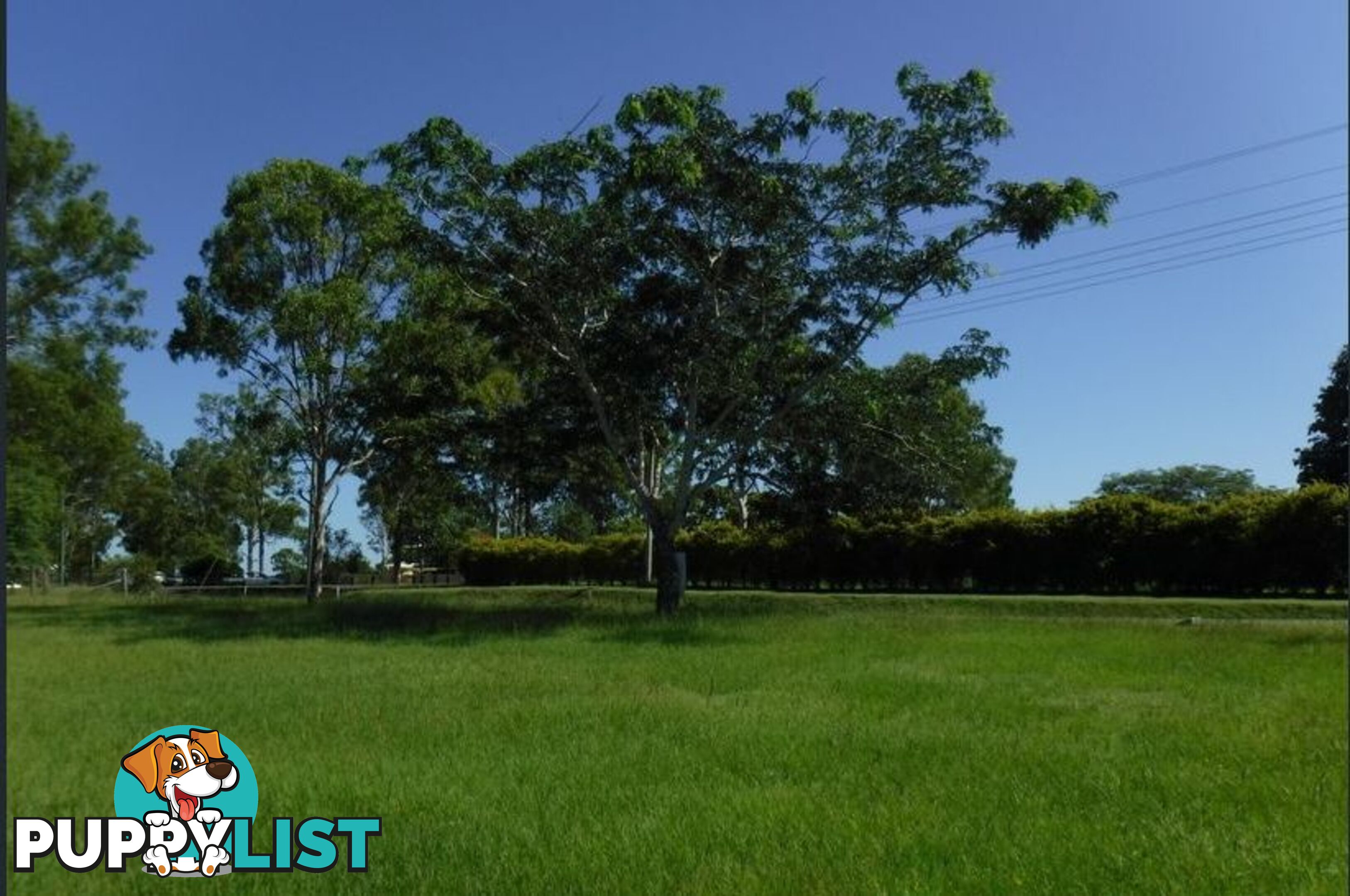 35 Birdwood Drive GUNALDA QLD 4570