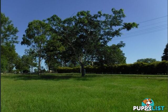 35 Birdwood Drive GUNALDA QLD 4570