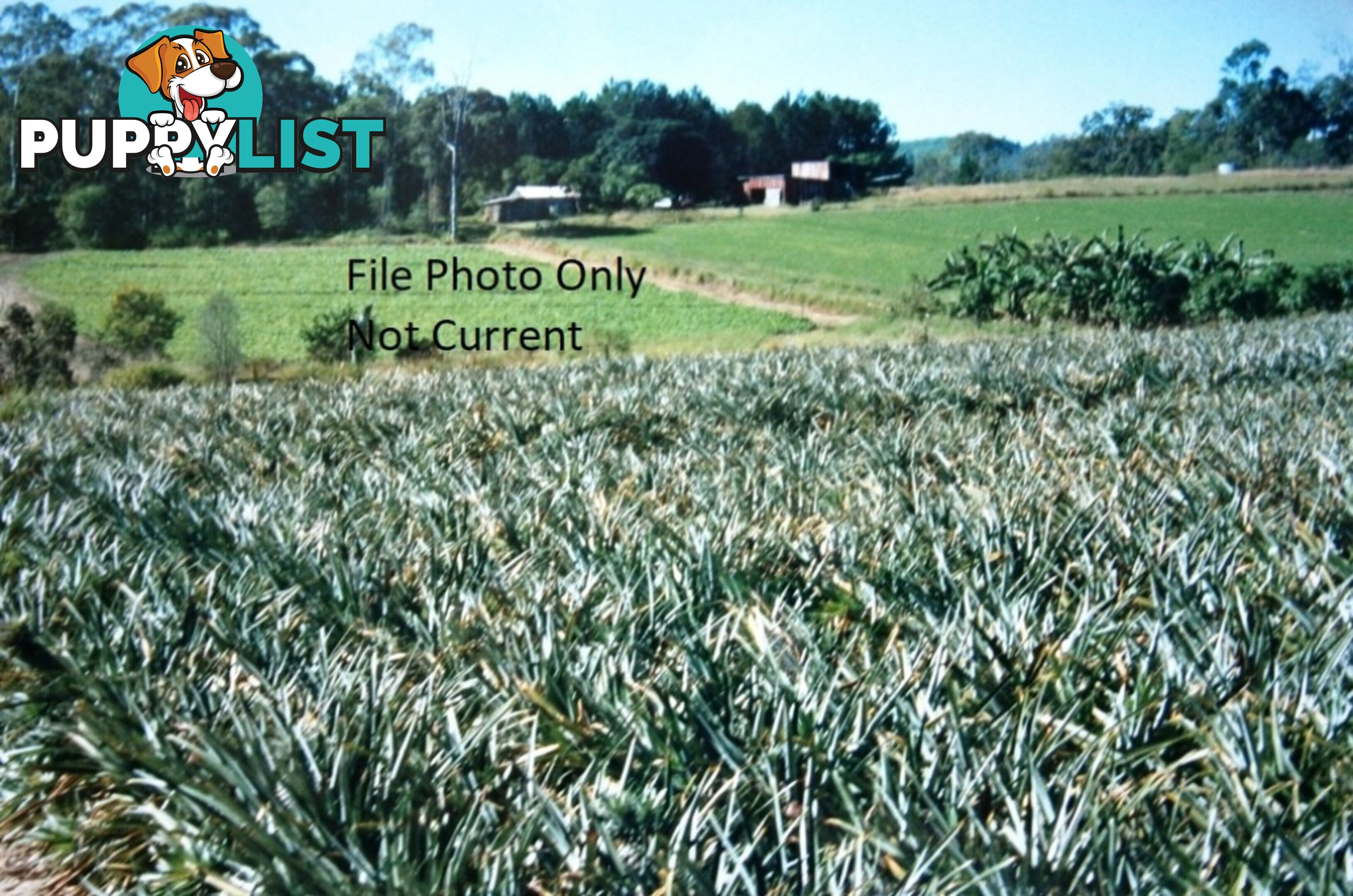 2 Fishermans Pocket Road FISHERMANS POCKET QLD 4570