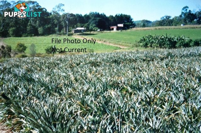 2 Fishermans Pocket Road FISHERMANS POCKET QLD 4570