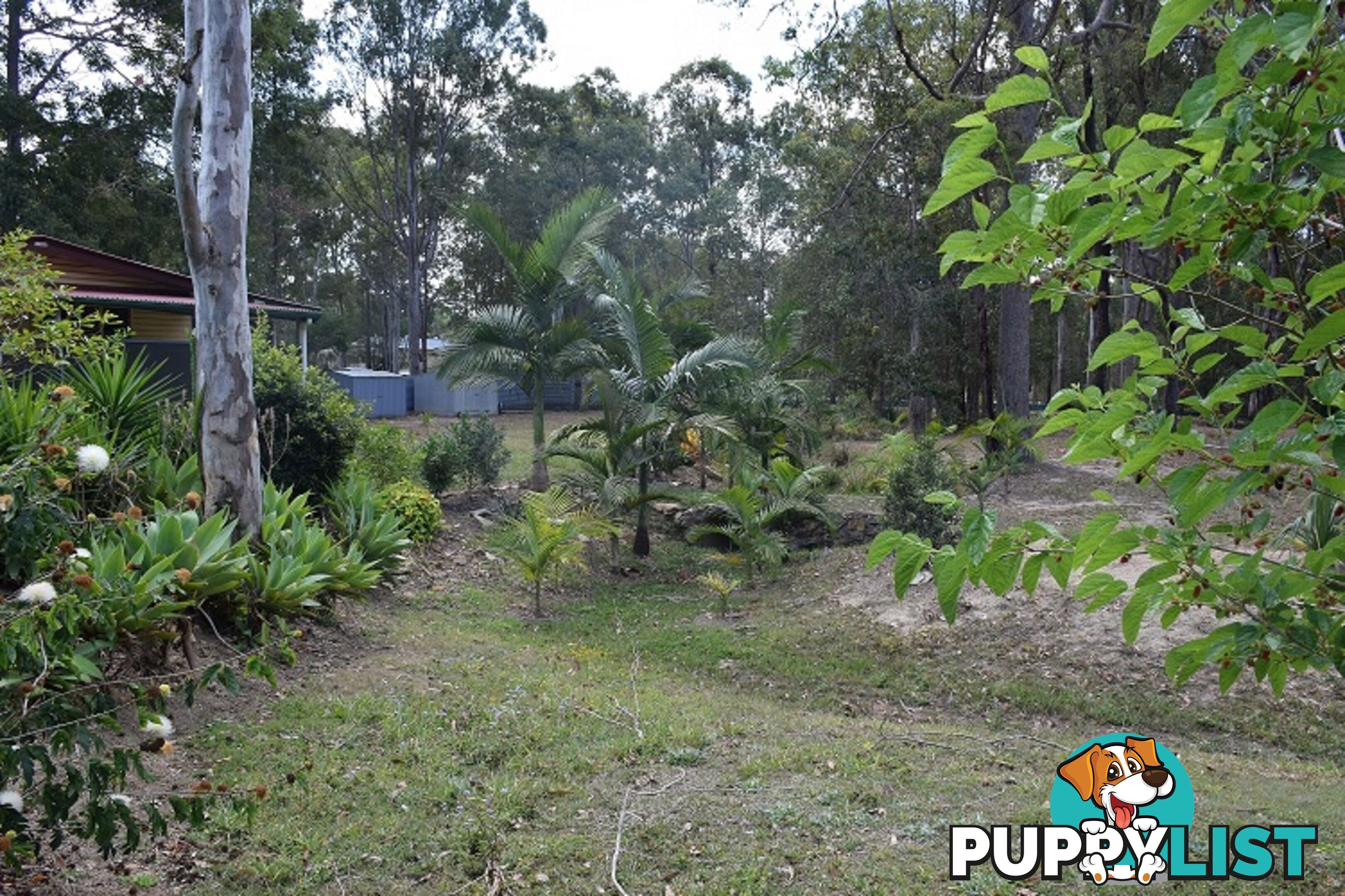 181 Arborten Rd GLENWOOD QLD 4570