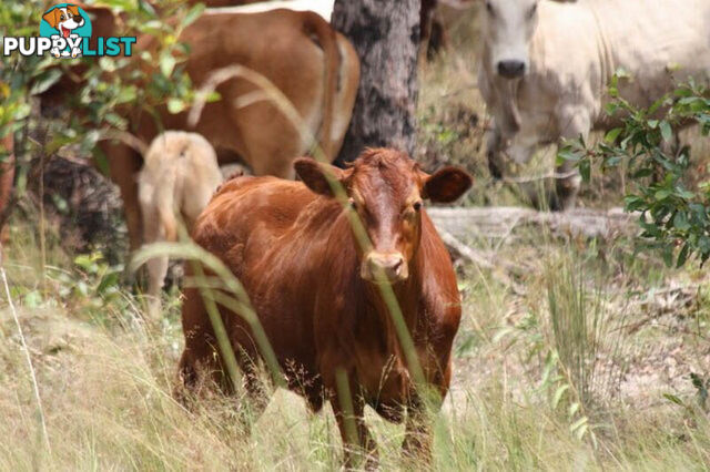 GLENWOOD QLD 4570