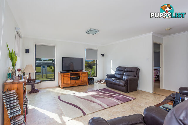 4 Illustrious Court COOLOOLA COVE QLD 4580