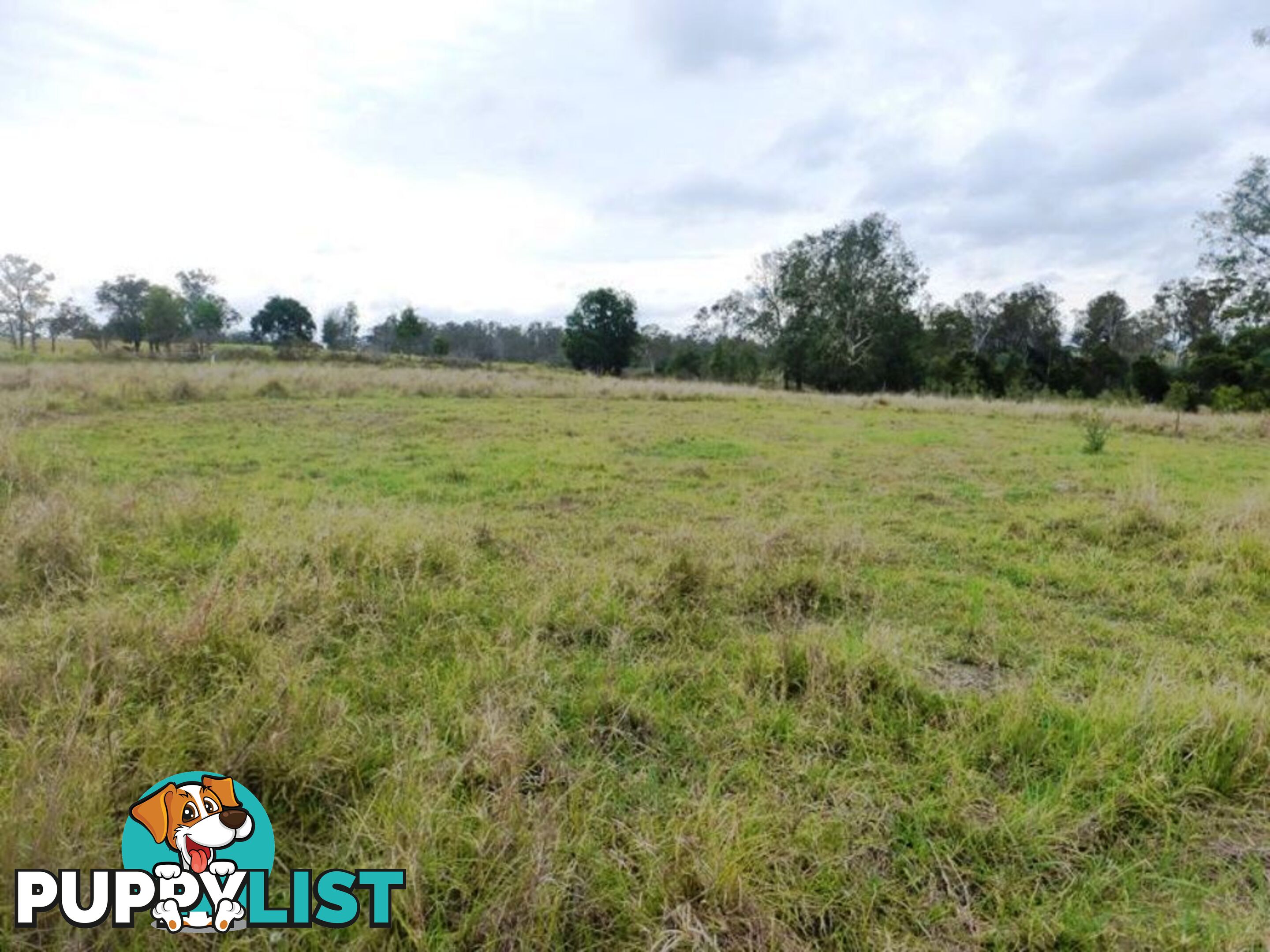 Lot 140 Scrub Road GUNALDA QLD 4570