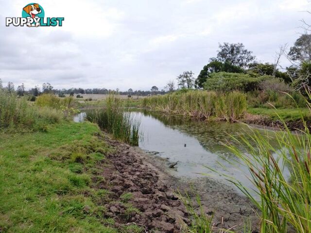 Lot 140 Scrub Road GUNALDA QLD 4570