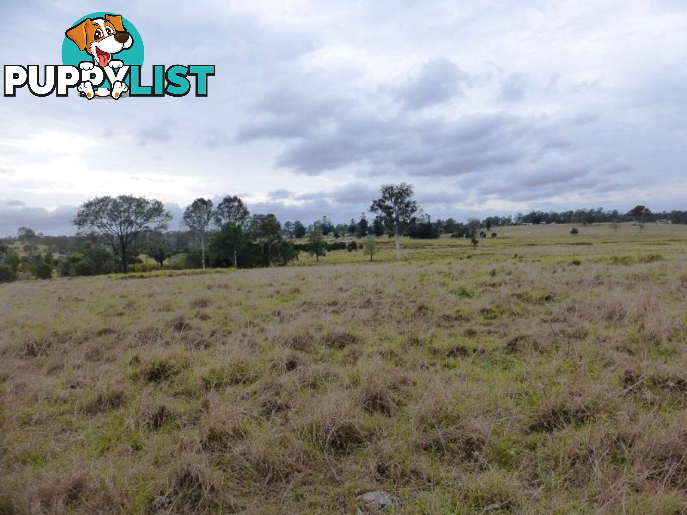 Lot 140 Scrub Road GUNALDA QLD 4570