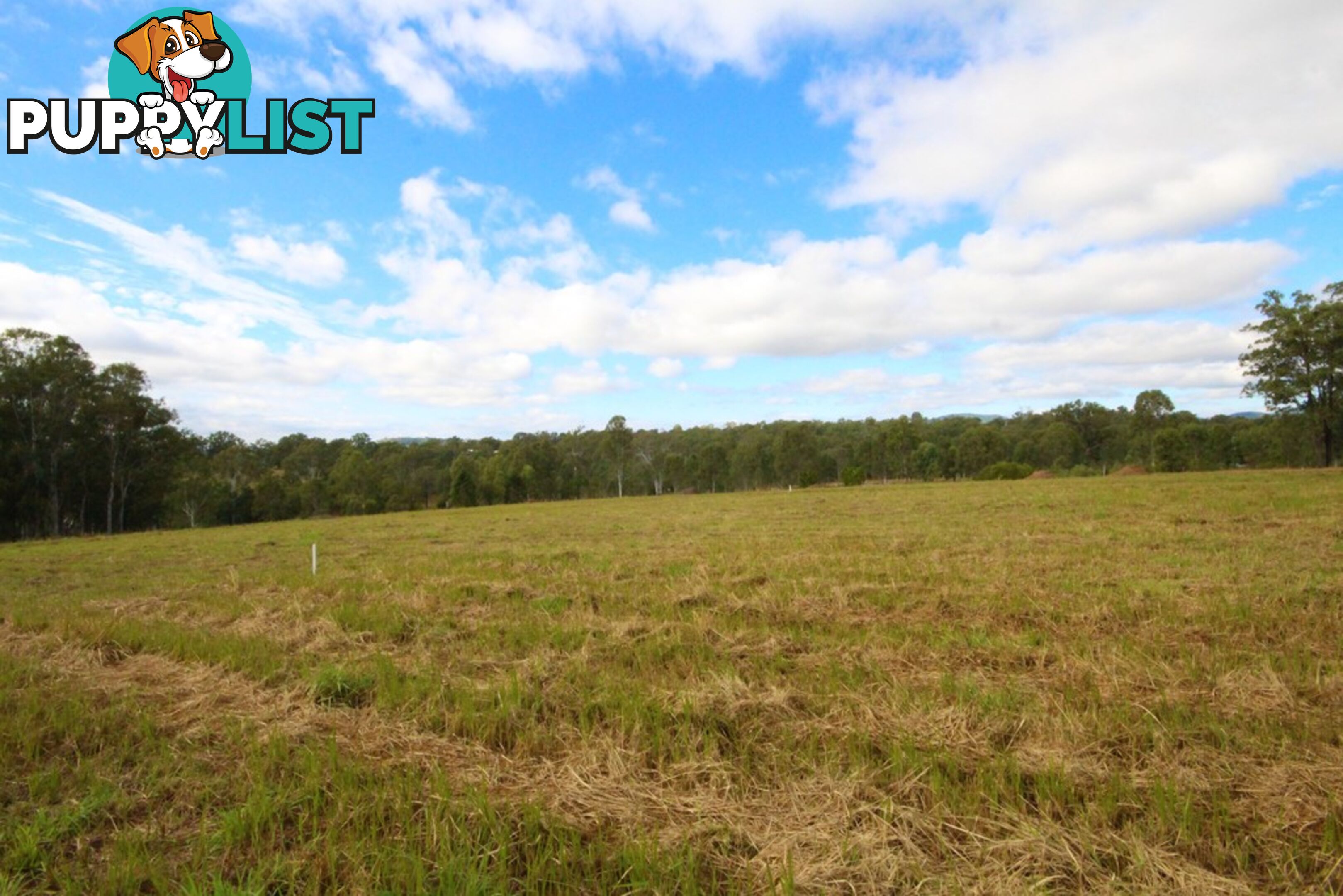 Lot 5 Cnr Blue Gum Road and Marys Creek Road PIE CREEK QLD 4570