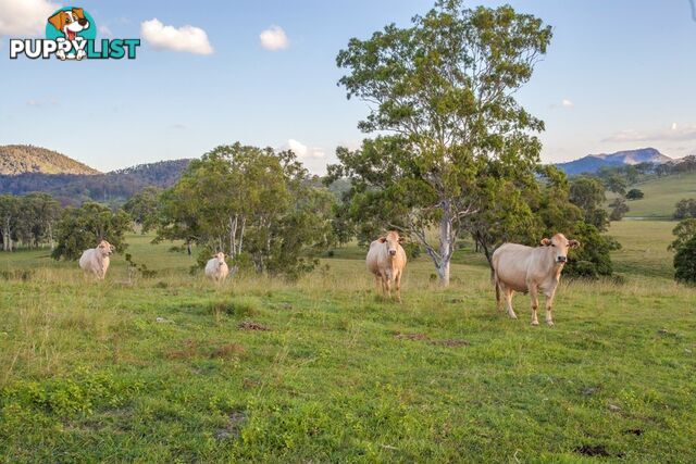 WIDGEE QLD 4570