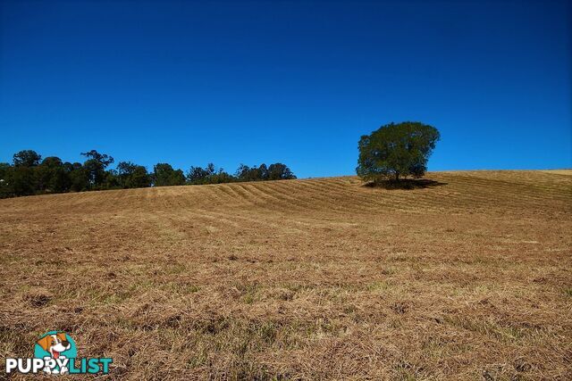 Lot 2 Irvine Road CHATSWORTH QLD 4570