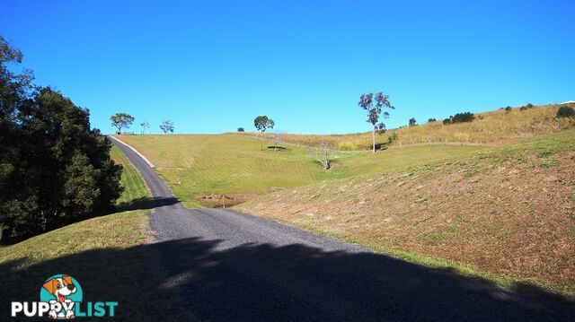 16A Ilga Road LAGOON POCKET QLD 4570