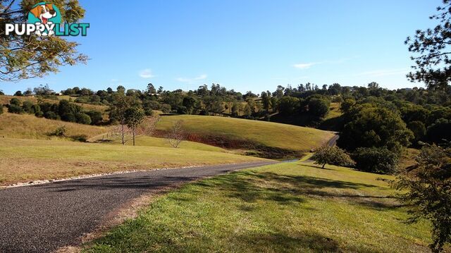 16A Ilga Road LAGOON POCKET QLD 4570