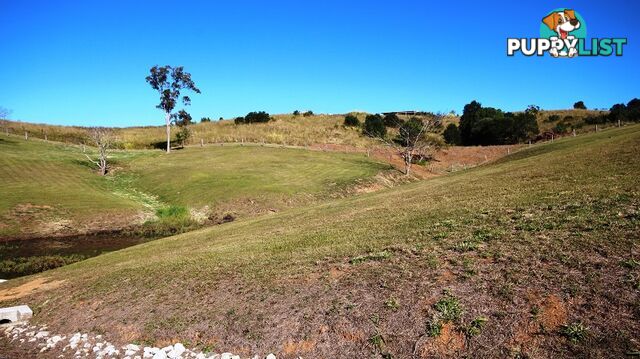 16A Ilga Road LAGOON POCKET QLD 4570