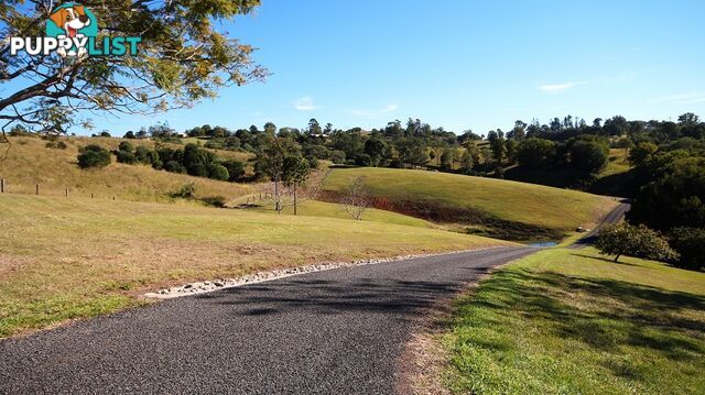 16A Ilga Road LAGOON POCKET QLD 4570