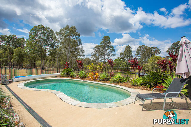 11 Lymburner Road PIE CREEK QLD 4570