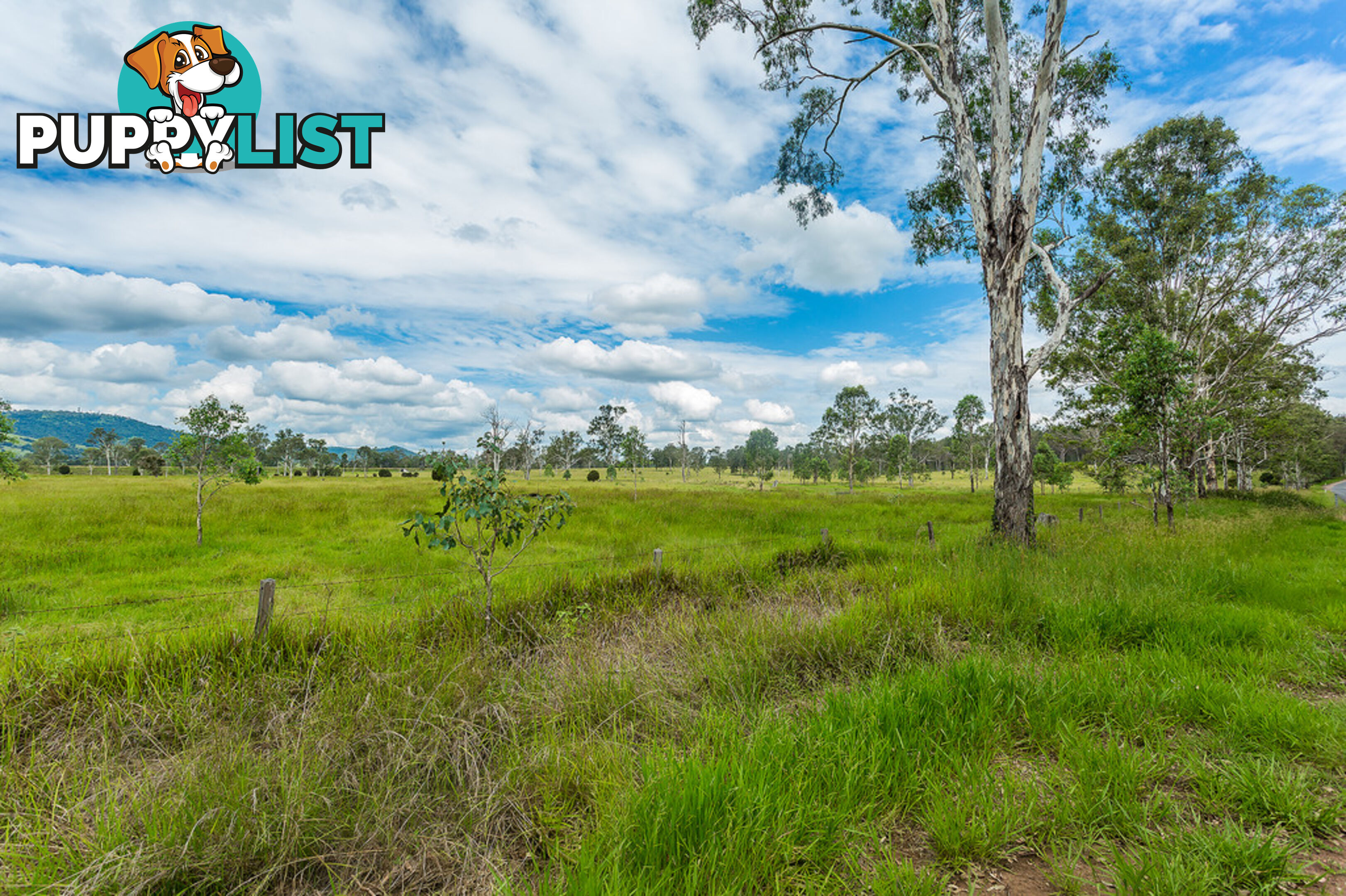 4 Lots Miva Road GUNALDA QLD 4570