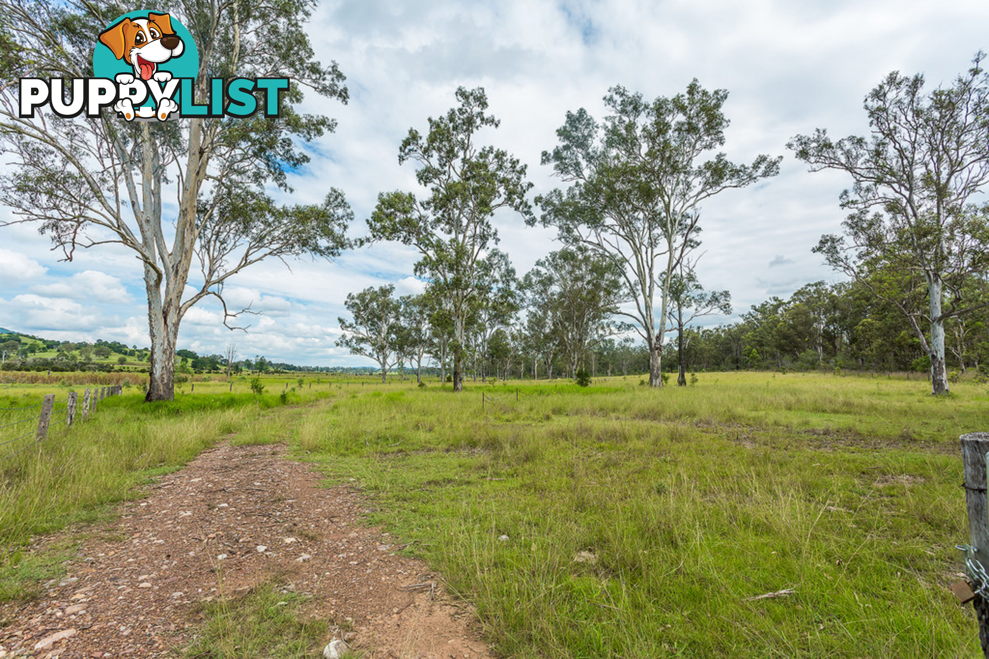 4 Lots Miva Road GUNALDA QLD 4570