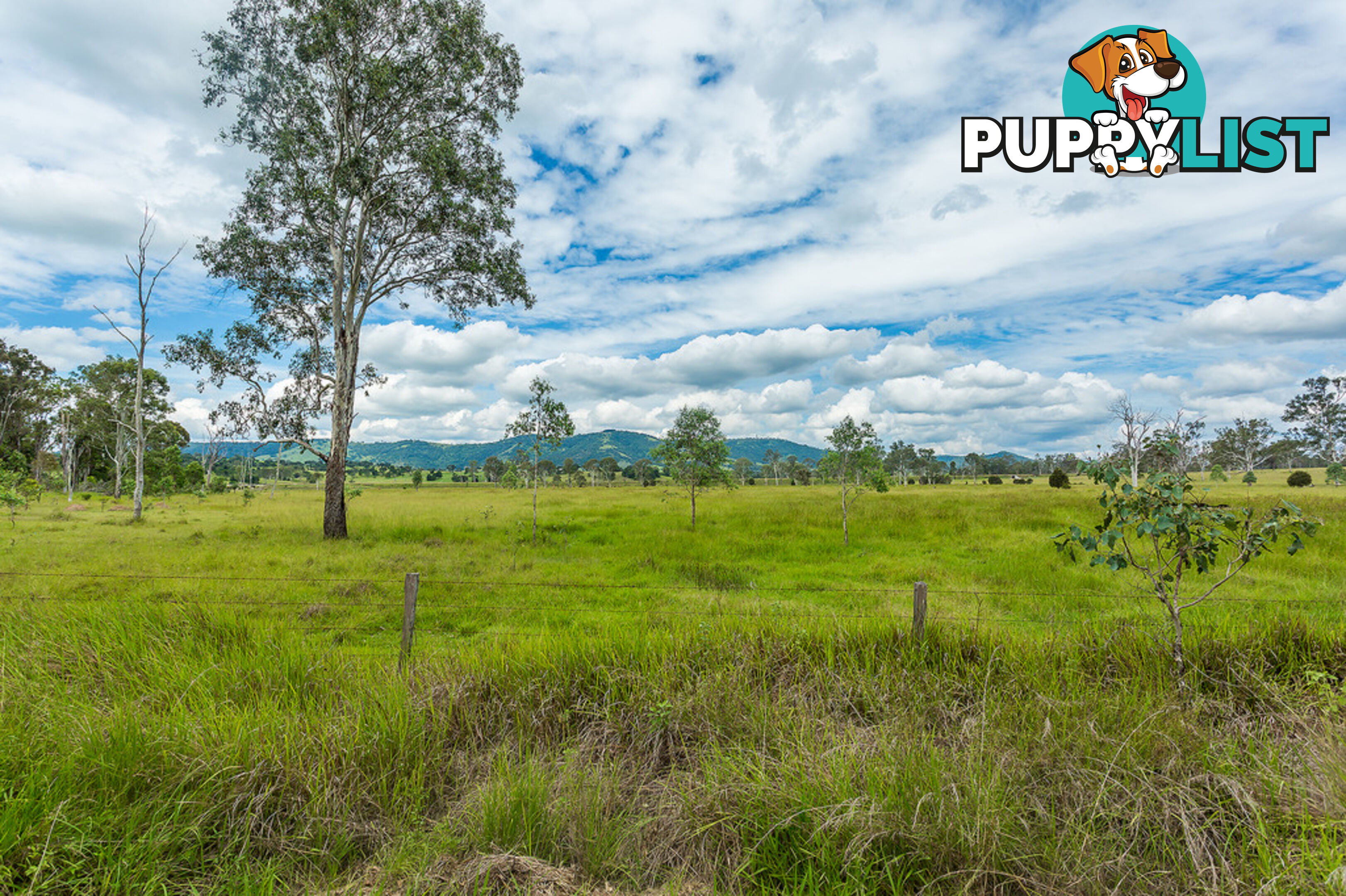 4 Lots Miva Road GUNALDA QLD 4570