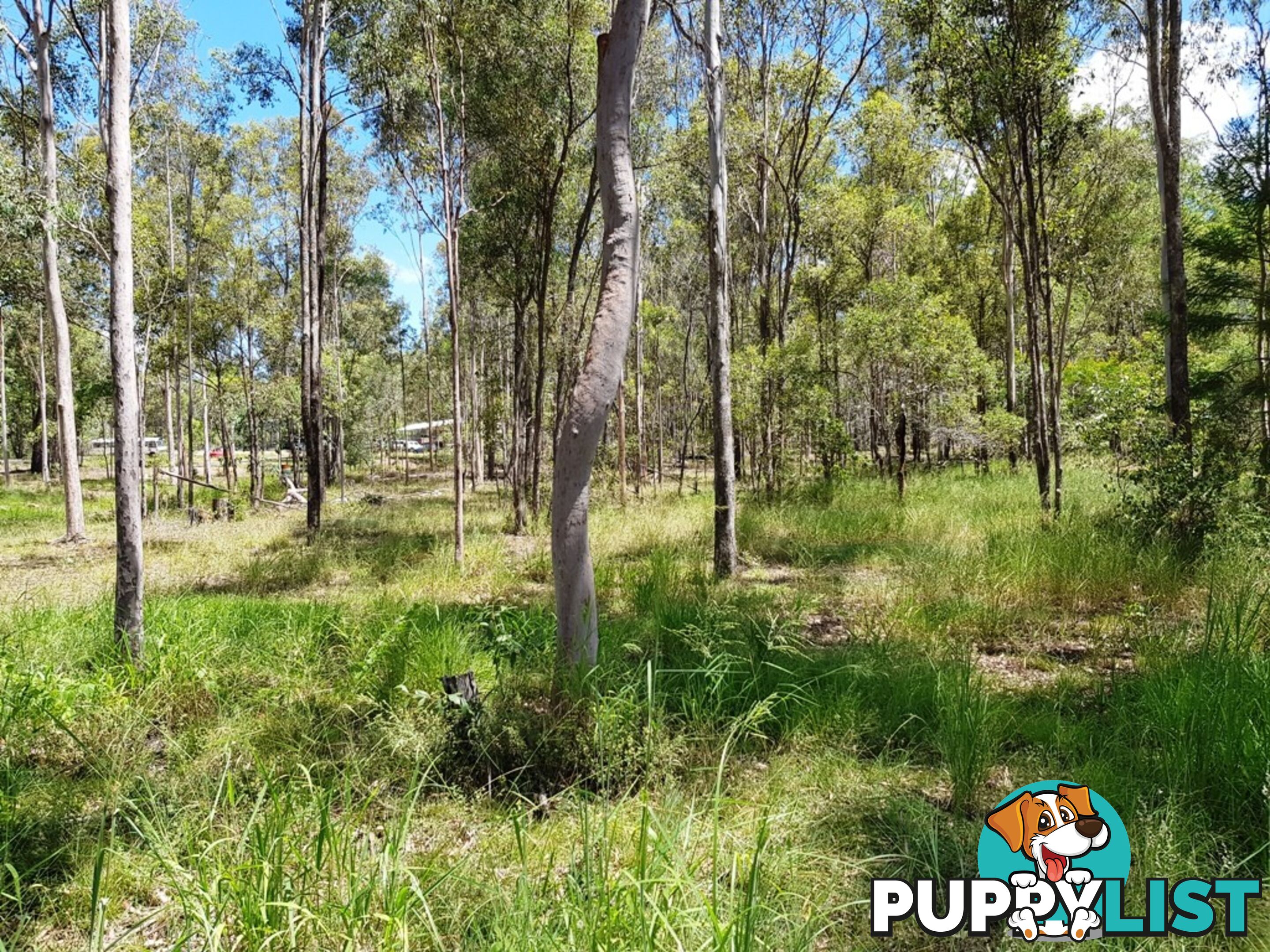 Lot 1 Donald Drive CURRA QLD 4570