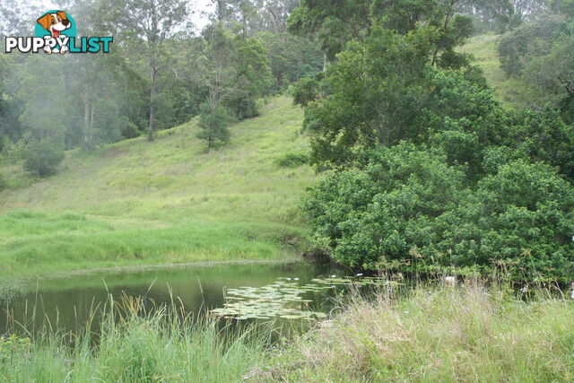 CHATSWORTH QLD 4570