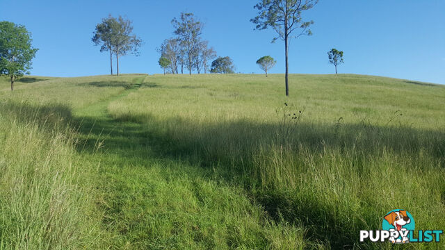 WIDGEE QLD 4570