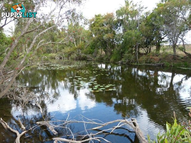 WIDGEE QLD 4570