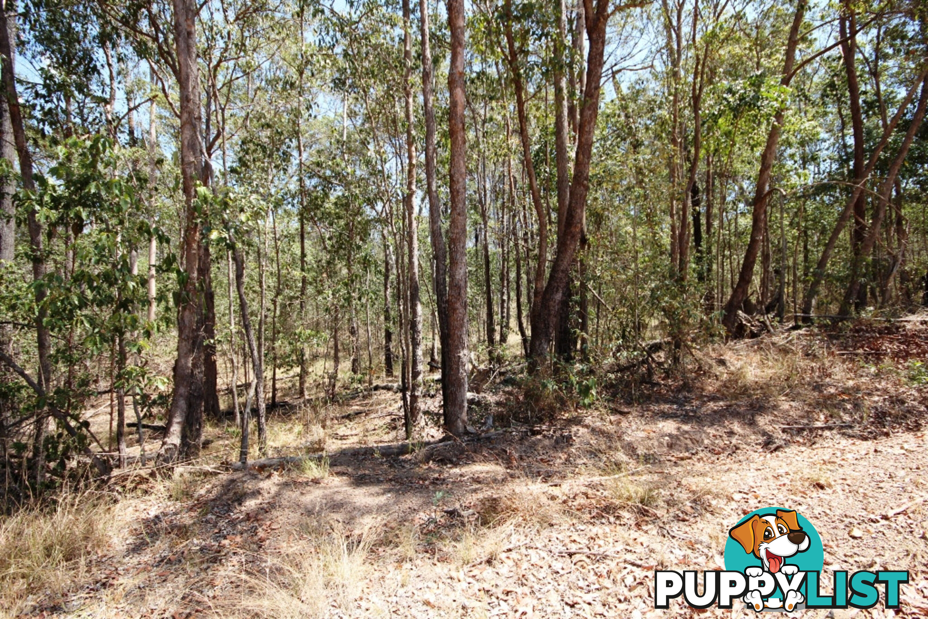 Lot 698 Arbortwentysix Road GLENWOOD QLD 4570