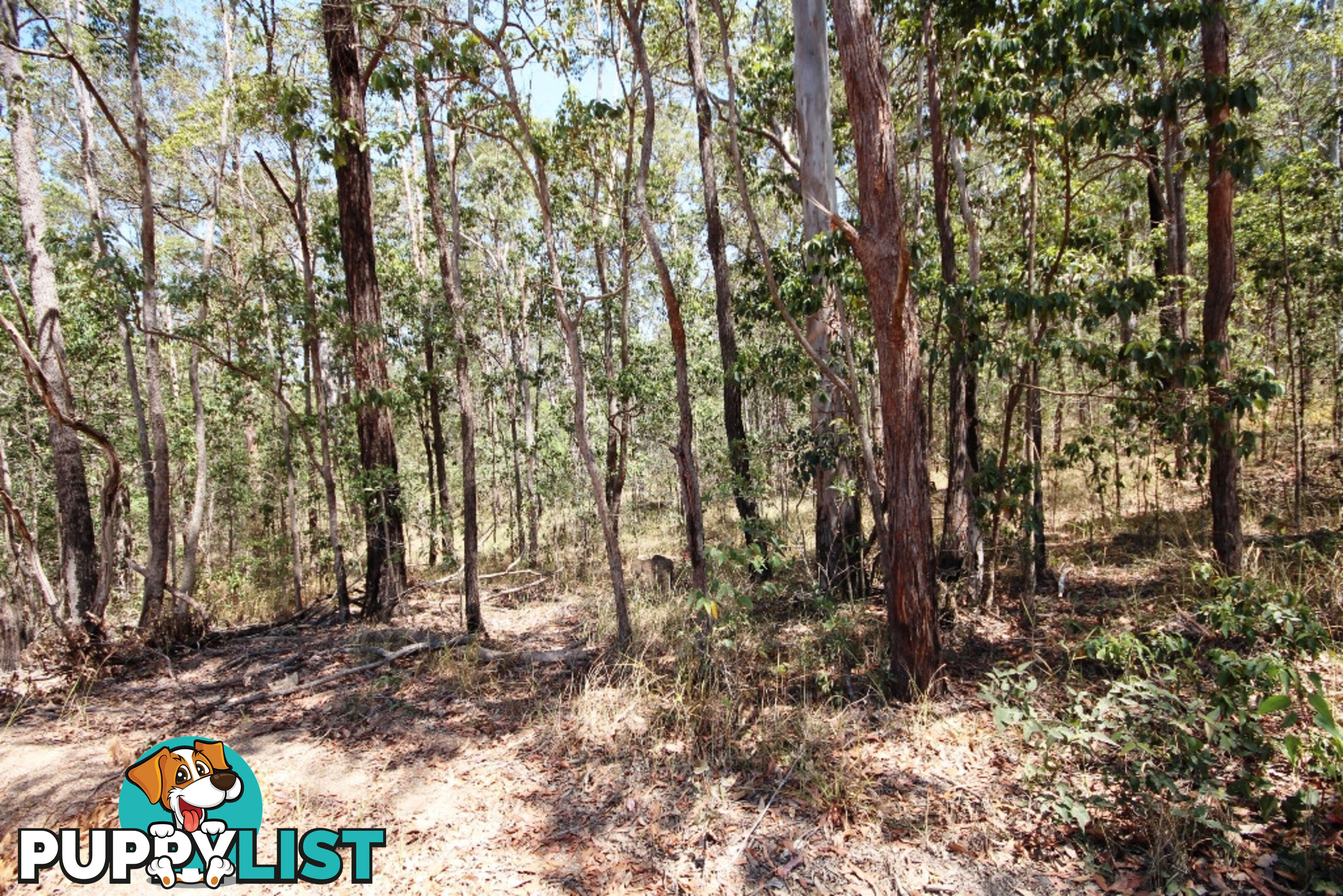 Lot 698 Arbortwentysix Road GLENWOOD QLD 4570