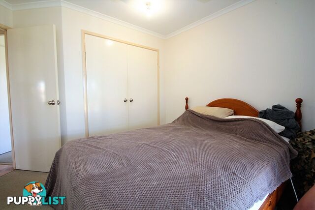 19 Banksia Avenue TIN CAN BAY QLD 4580