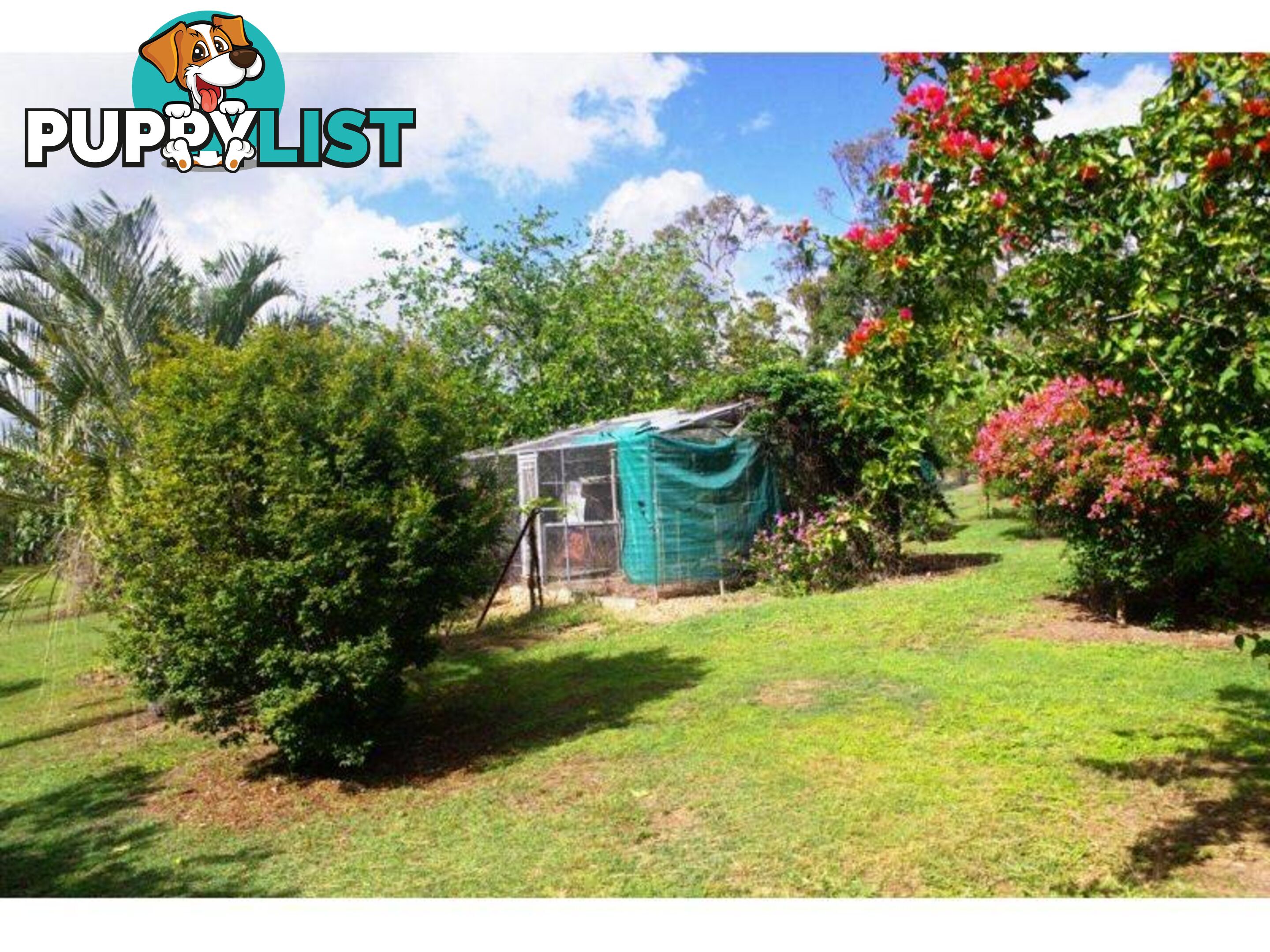 119 Arboreleven Road GLENWOOD QLD 4570