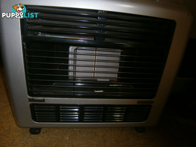 Rinnai 2 bar heater