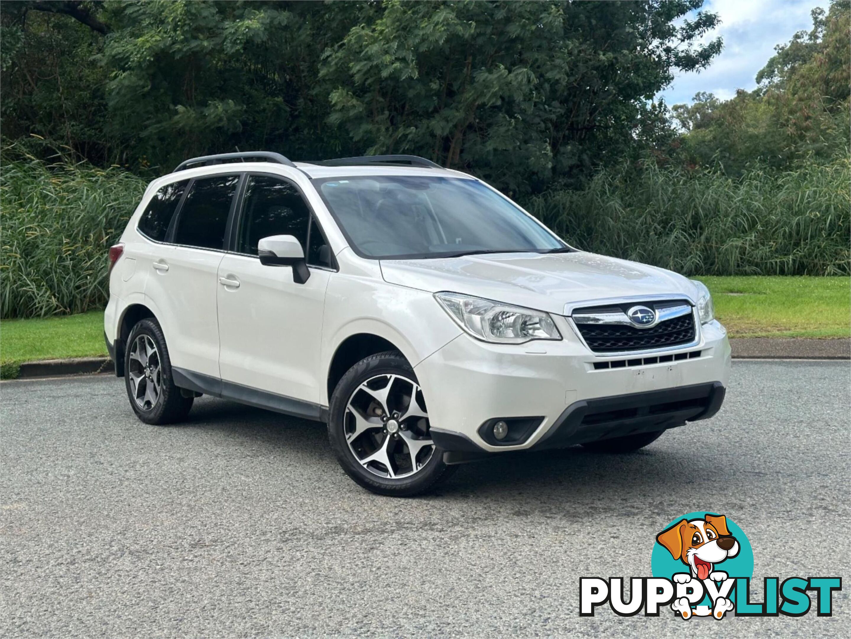 2013 SUBARU FORESTER 2 5I S S4MY13 WAGON