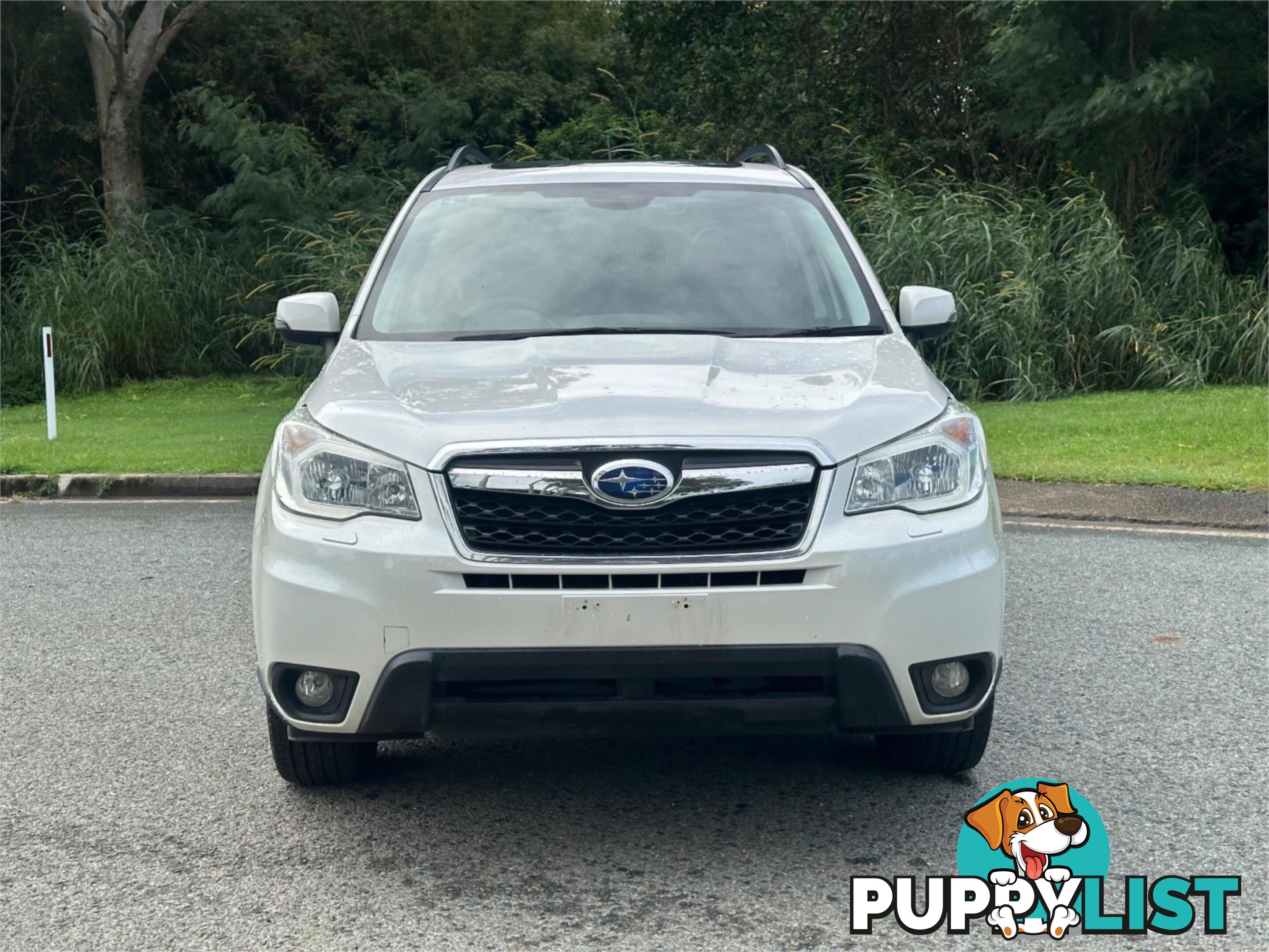 2013 SUBARU FORESTER 2 5I S S4MY13 WAGON
