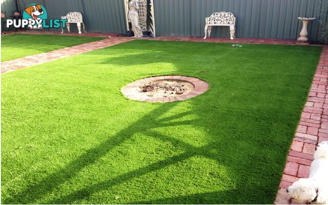 Artificial Grass Installation in Altona Meadows