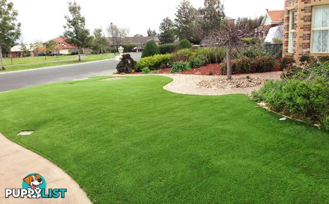 Artificial Grass Installation in Derrimut