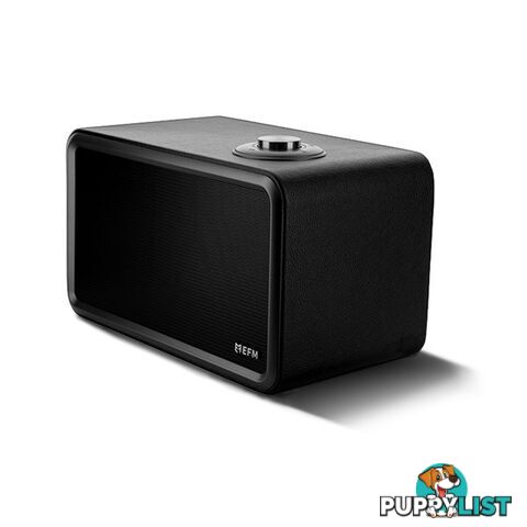 EFM 24W Memphis Retro Wireless Bluetooth Speaker - Black/Space Grey