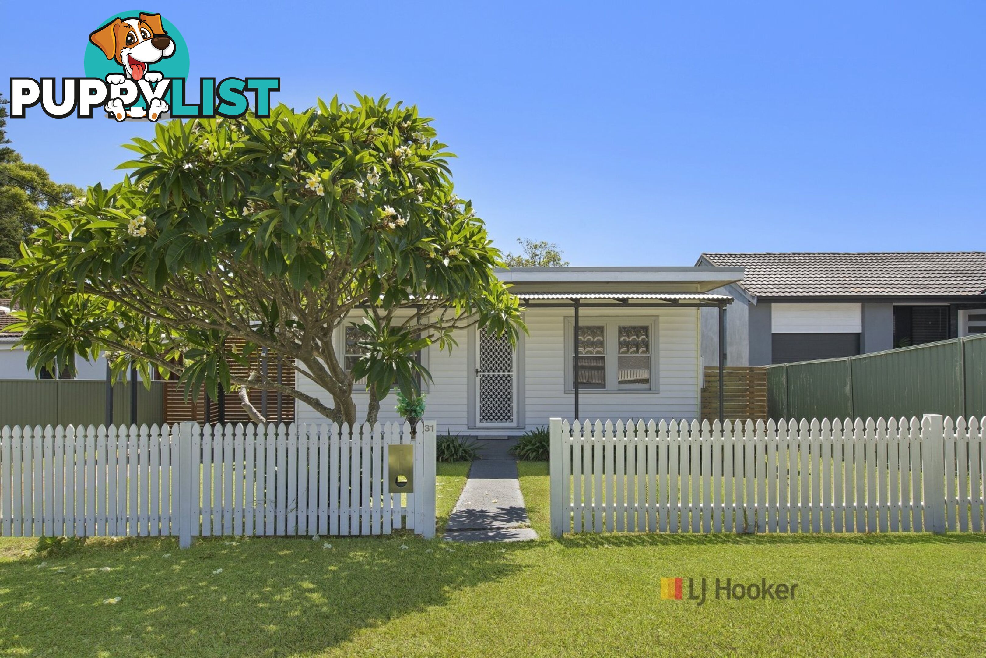 31 Woodlawn Drive BUDGEWOI NSW 2262