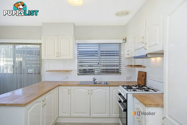14/186 Sunrise Avenue HALEKULANI NSW 2262