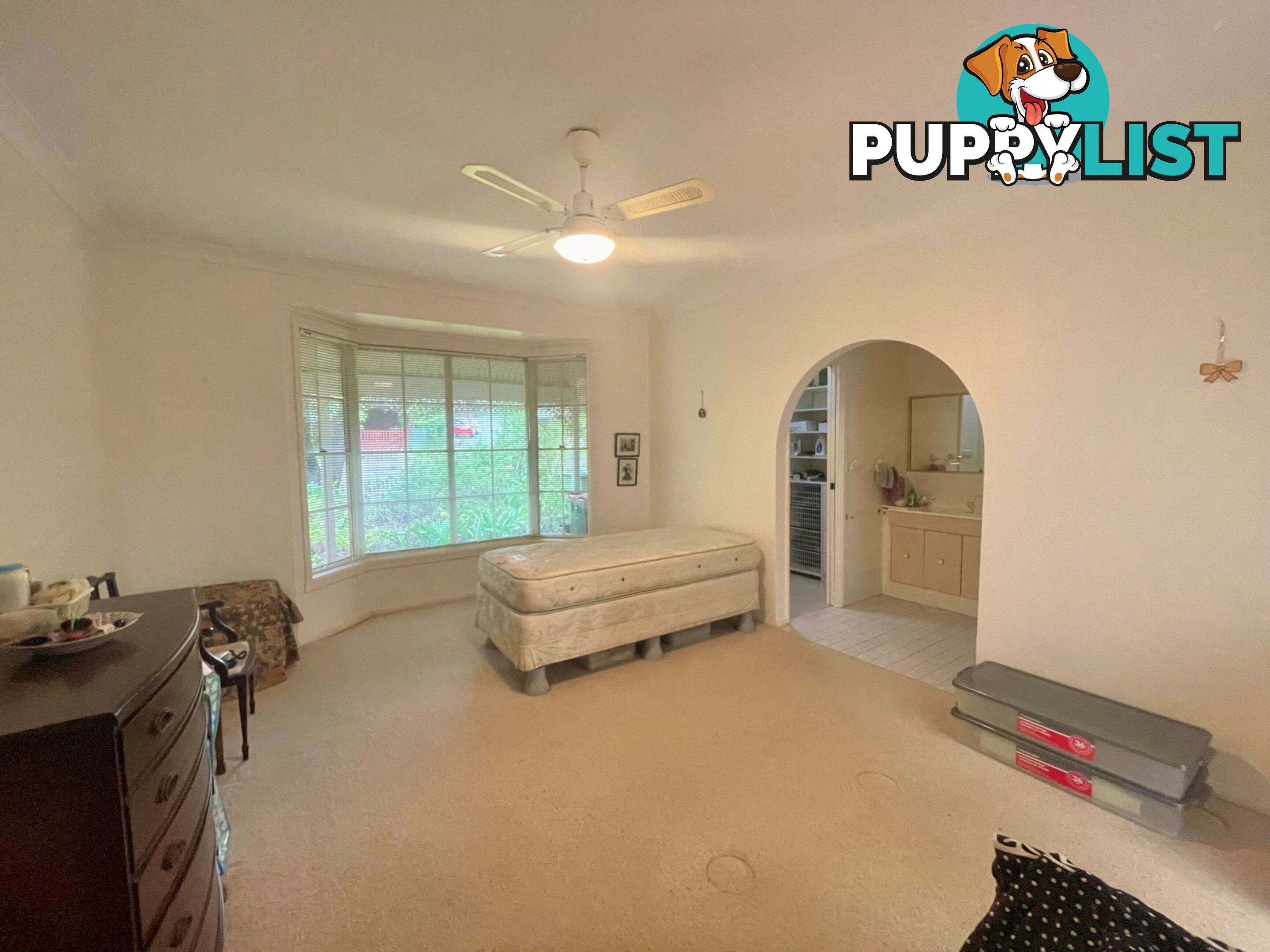 181 Buff Point Avenue BUFF POINT NSW 2262