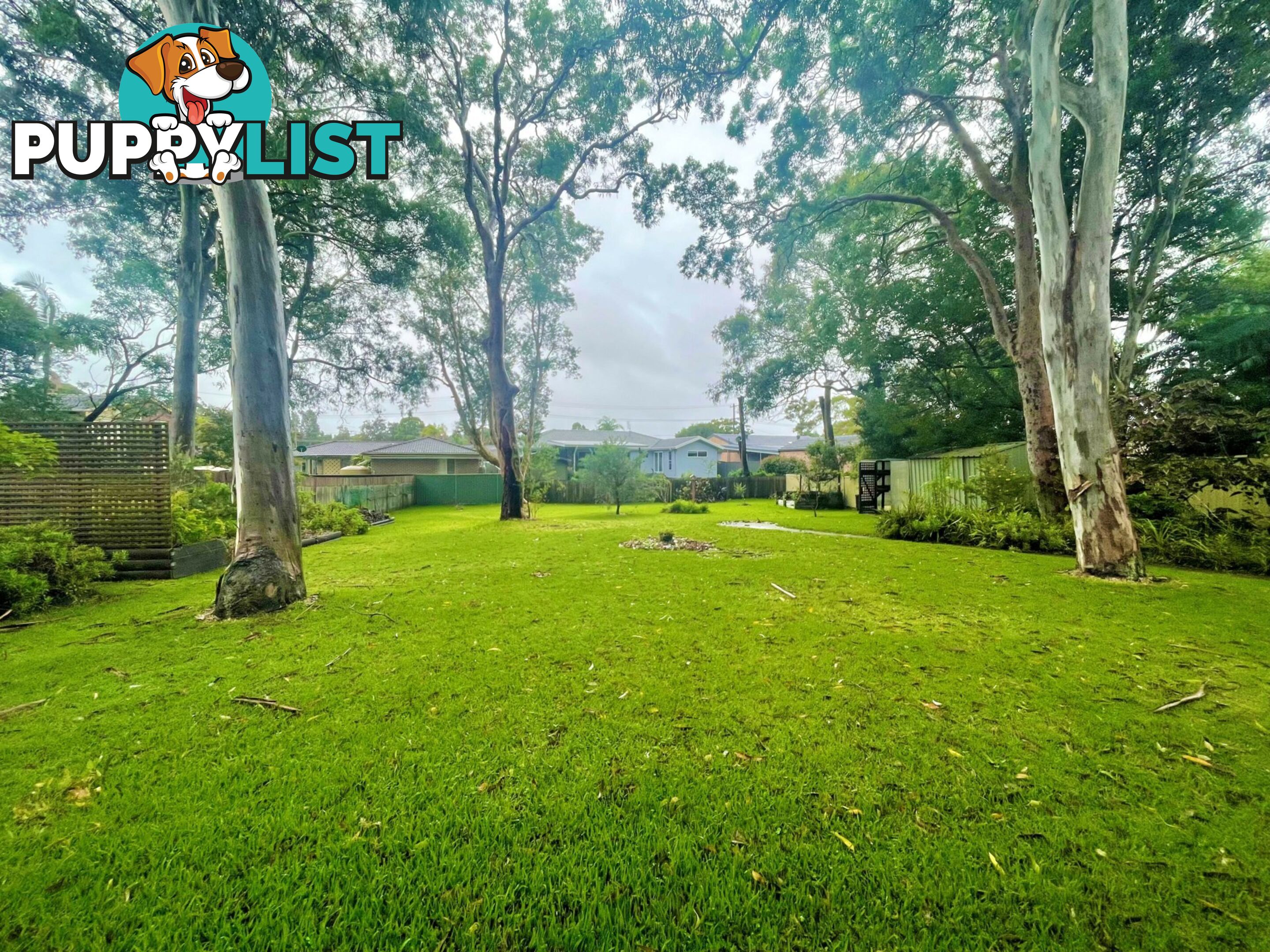 181 Buff Point Avenue BUFF POINT NSW 2262