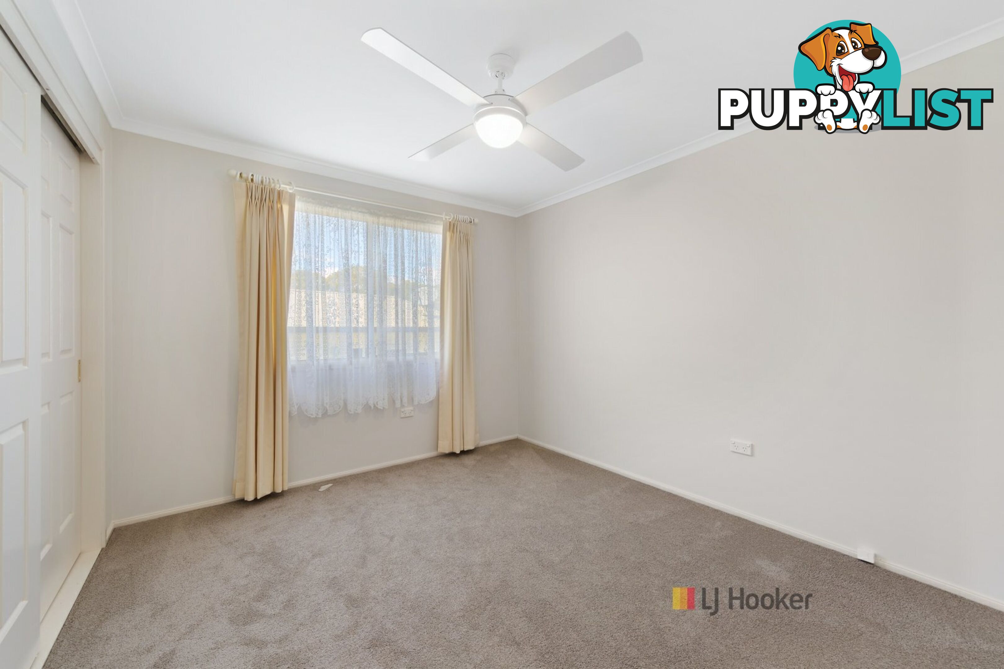 31/186 Sunrise Avenue HALEKULANI NSW 2262