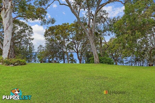 4/186 Sunrise Avenue HALEKULANI NSW 2262