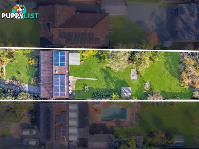 51 Ivy Avenue CHAIN VALLEY BAY NSW 2259