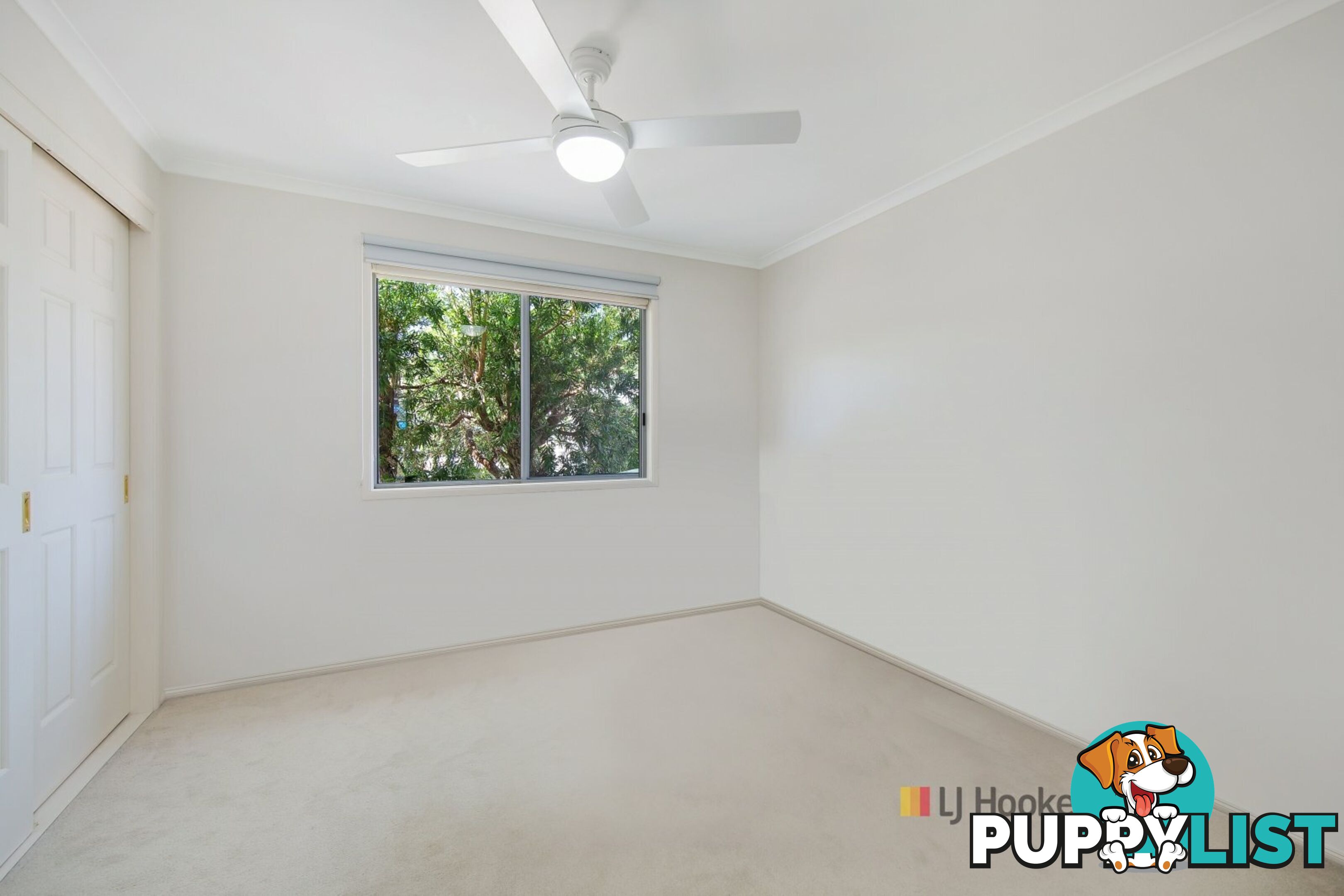 27/186 Sunrise Avenue HALEKULANI NSW 2262