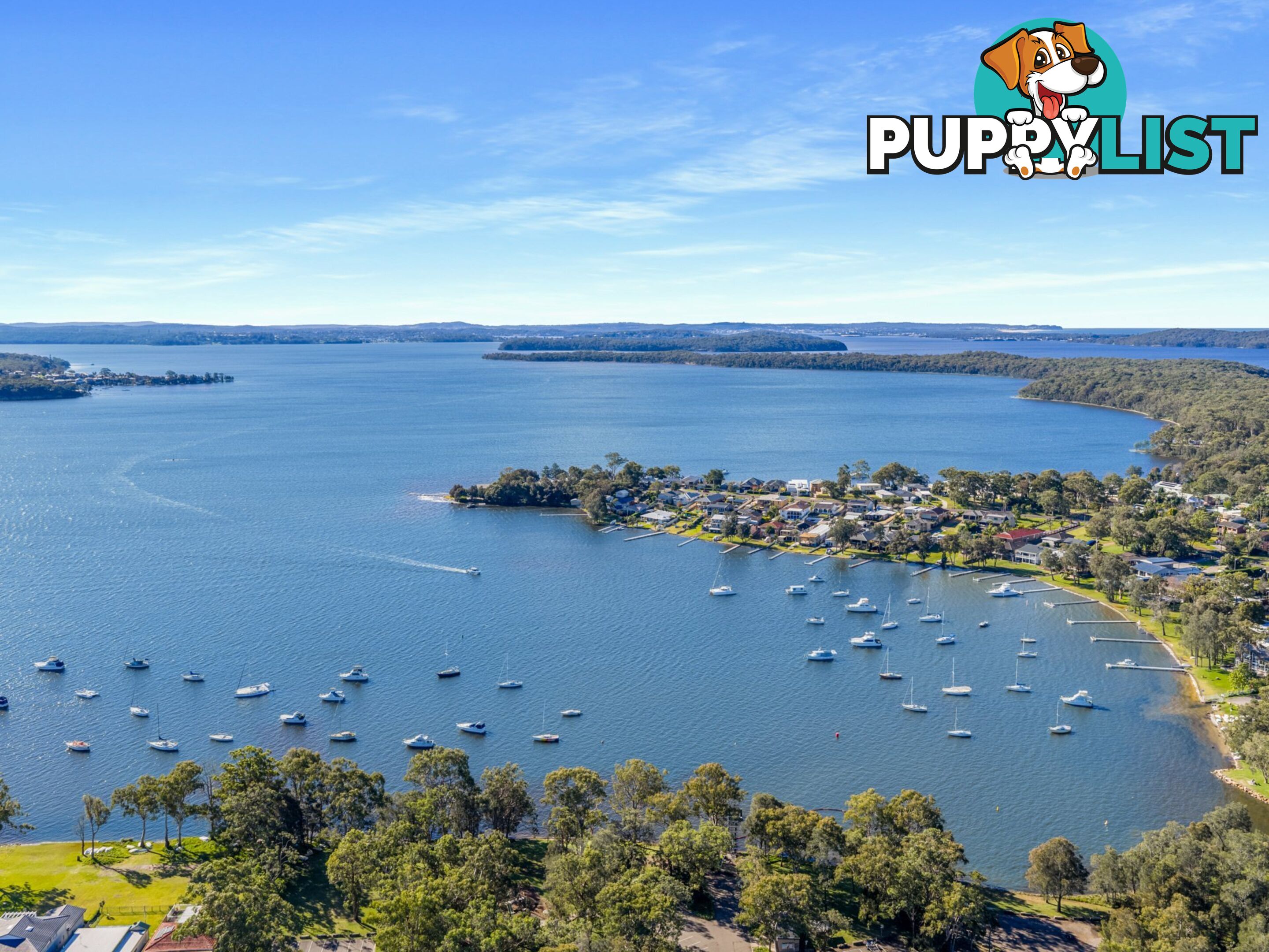 41 Warrina Avenue SUMMERLAND POINT NSW 2259