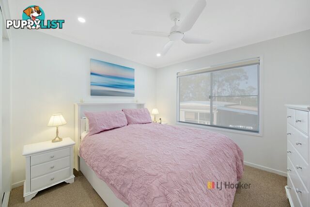 125/186 Sunrise Avenue HALEKULANI NSW 2262