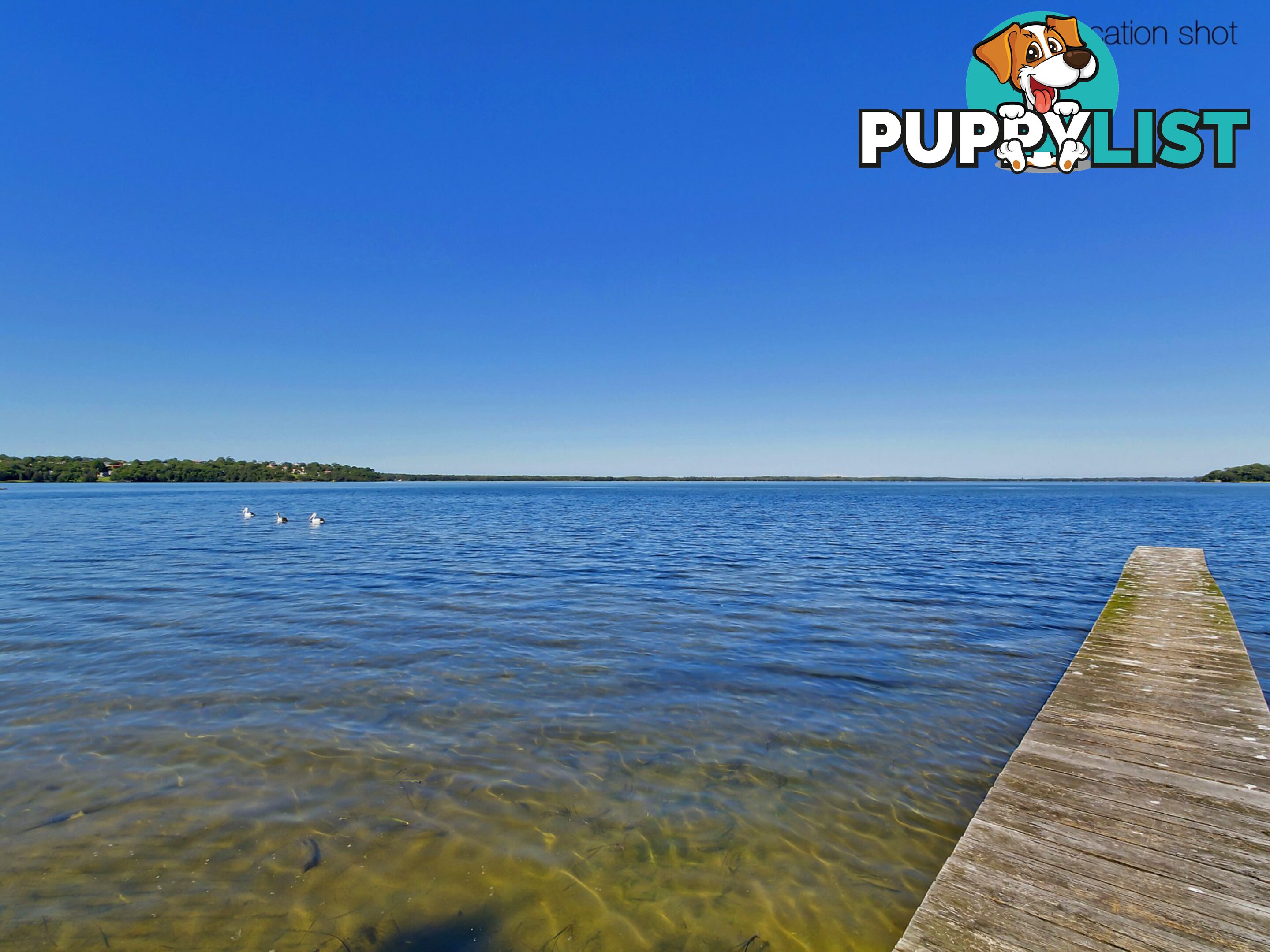 LAKE MUNMORAH NSW 2259